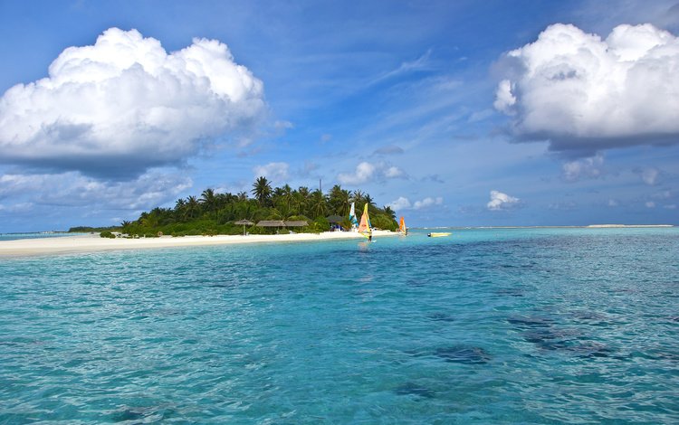 пляж, пальмы, женщины, остров, тропики, мальдивы, beach, palm trees, women, island, tropics, the maldives