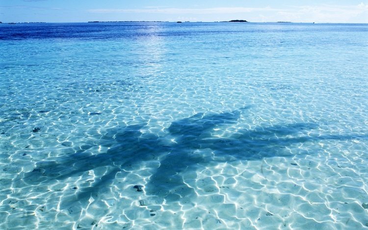 небо, вода, отражение, тень, океан, пальма, мальдивы, the sky, water, reflection, shadow, the ocean, palma, the maldives