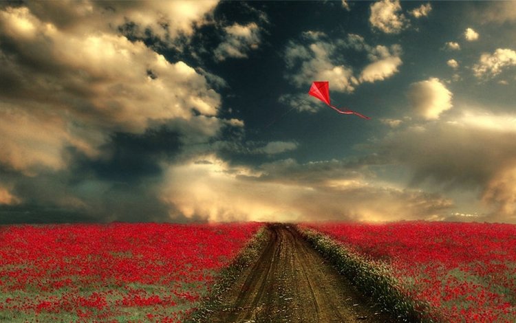 дорога, цветы, облака, поле, воздушный змей. небо, road, flowers, clouds, field, kite. the sky