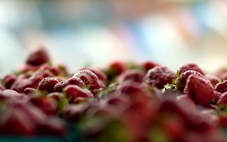 макро, ягода, красная, клубника, много, свежая, macro, berry, red, strawberry, a lot, fresh