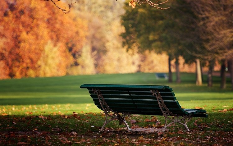 природа, листья, парк, день, осень, скамейка, лавочка, солнышко, nature, leaves, park, day, autumn, bench, shop, the sun