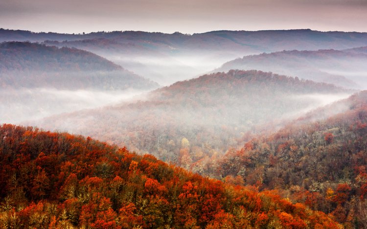 небо, горы, холмы, природа, лес, туман, осень, the sky, mountains, hills, nature, forest, fog, autumn