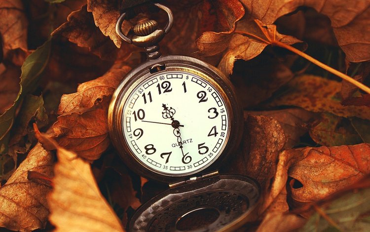 природа, листья, макро, осень, часы, время, стрелки, циферблат, nature, leaves, macro, autumn, watch, time, arrows, dial