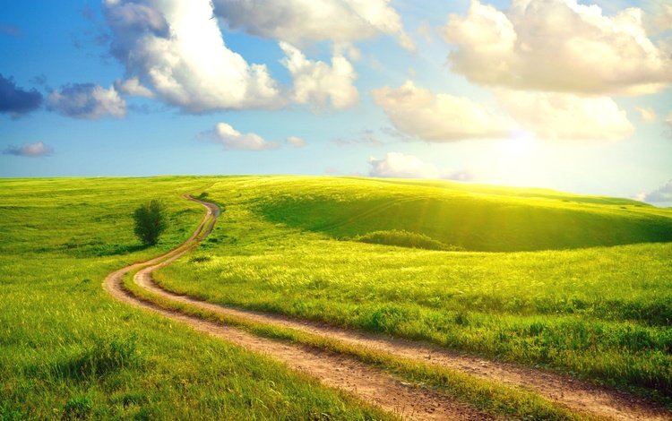 небо, дорога, трава, облака, солнце, пейзаж, поле, лето, the sky, road, grass, clouds, the sun, landscape, field, summer