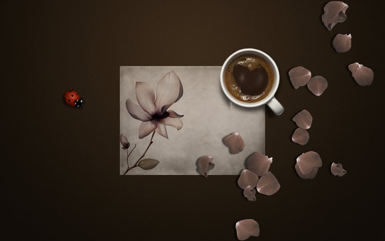 насекомое, фон, цветок, лепестки, бумага, кофе, божья коровка, кружка, insect, background, flower, petals, paper, coffee, ladybug, mug