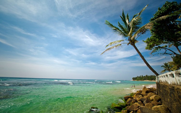 камни, волны, пальмы, океан, курорт, шри - ланка, stones, wave, palm trees, the ocean, resort, sri lanka