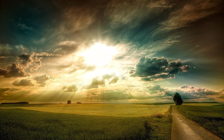 небо, поле, свет, рассвет, дорога, равнина, трава, зеленая, облака, солнце, дерево, лучи, the sky, field, light, dawn, road, plain, grass, green, clouds, the sun, tree, rays