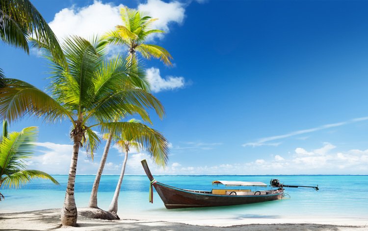 пейзаж, море, пляж, лодка, пальмы, курорт, тропики, landscape, sea, beach, boat, palm trees, resort, tropics