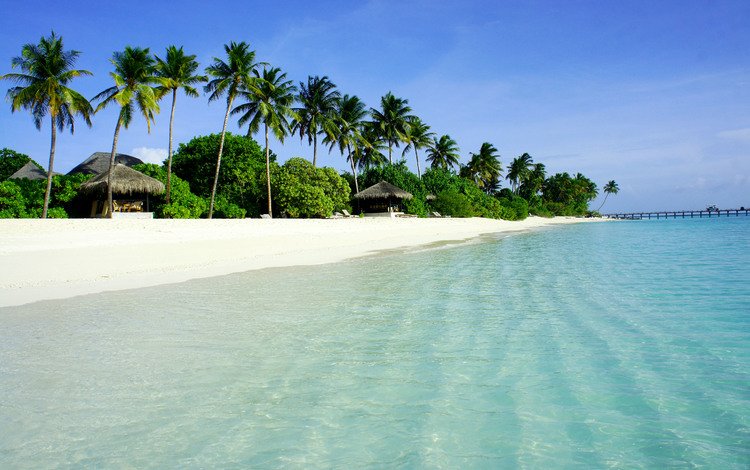 песок, пляж, пальмы, океан, мальдивы, sand, beach, palm trees, the ocean, the maldives