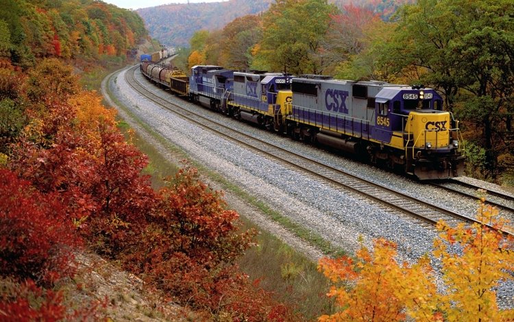 железная дорога, лес, осень, поезд, railroad, forest, autumn, train