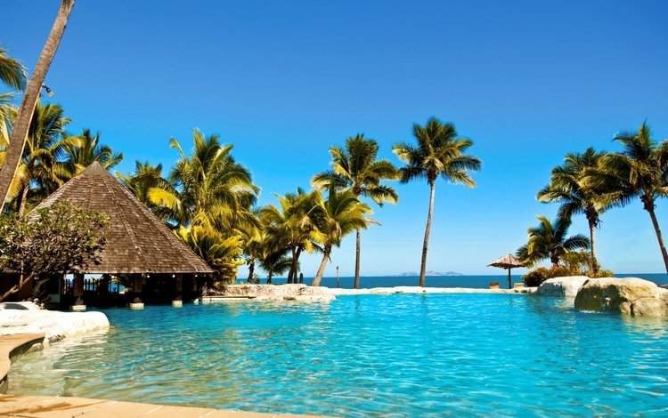 пальмы, бассейн, отдых, тропики, palm trees, pool, stay, tropics