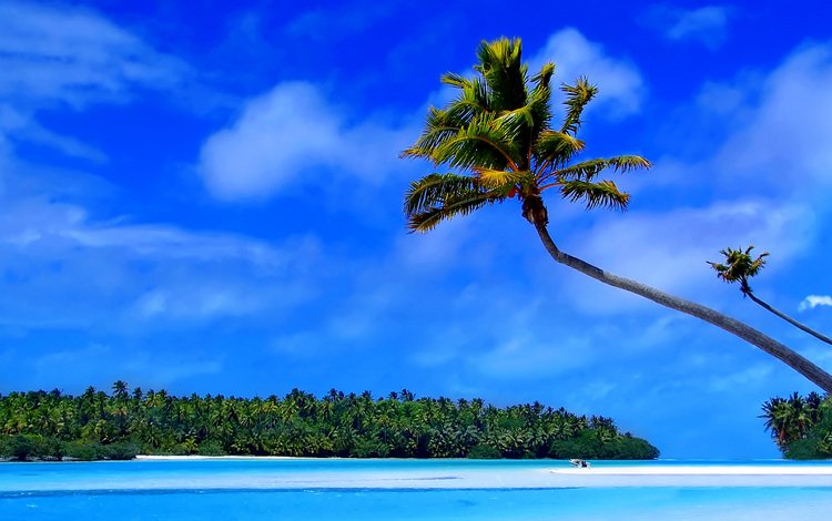 остров, тропики, мальдивы, island, tropics, the maldives