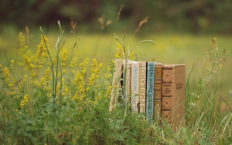 трава, книги, градусы, trava, polyana, leto, rasteniya, zelen, priroda, knigi, grass, books, c, book