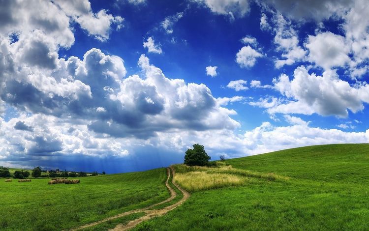 дорога, облака, холмы, дерево, тучи, пейзаж, поле, сено, рава, rav, road, clouds, hills, tree, landscape, field, hay