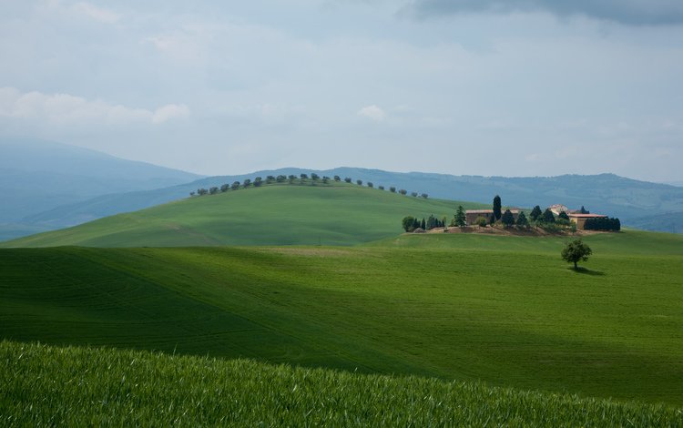 поле, field