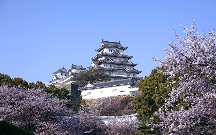 замок, япония, сакура, castle, japan, sakura
