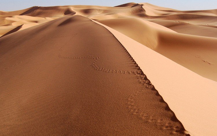 песок, пустыня, sand, desert