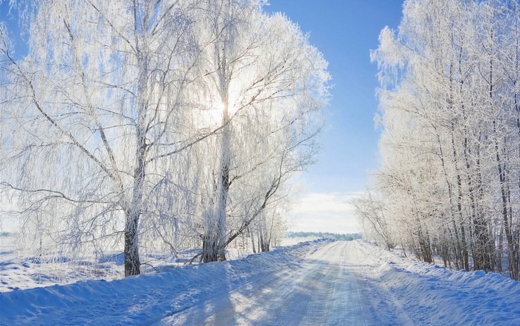 дорога, зима, road, winter
