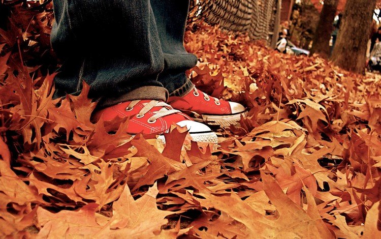 листья, осень, кеды, джинсы, ноги, listya, osen, kedy, осенние листья, leaves, autumn, sneakers, jeans, feet, autumn leaves