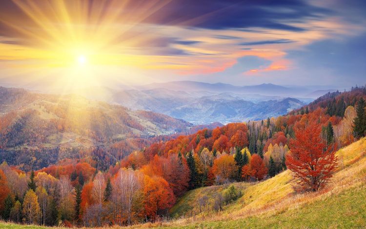 горы, солнце, лес, осень, mountains, the sun, forest, autumn