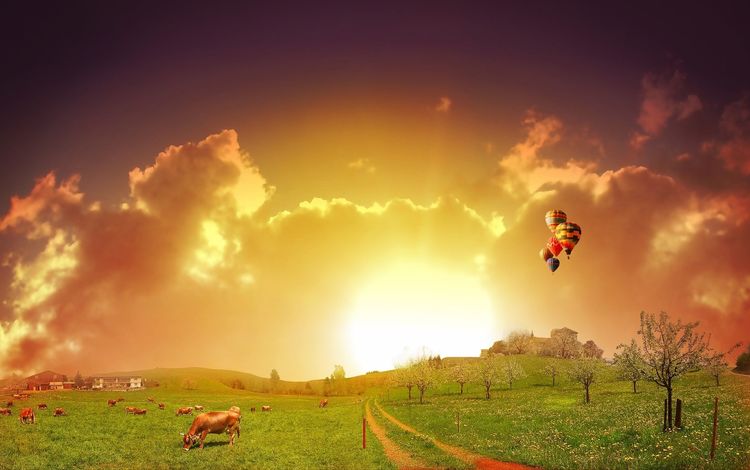 небо, коровы, дорога, трава, облака, закат, поле, дома, воздушные шары, the sky, cows, road, grass, clouds, sunset, field, home, balloons