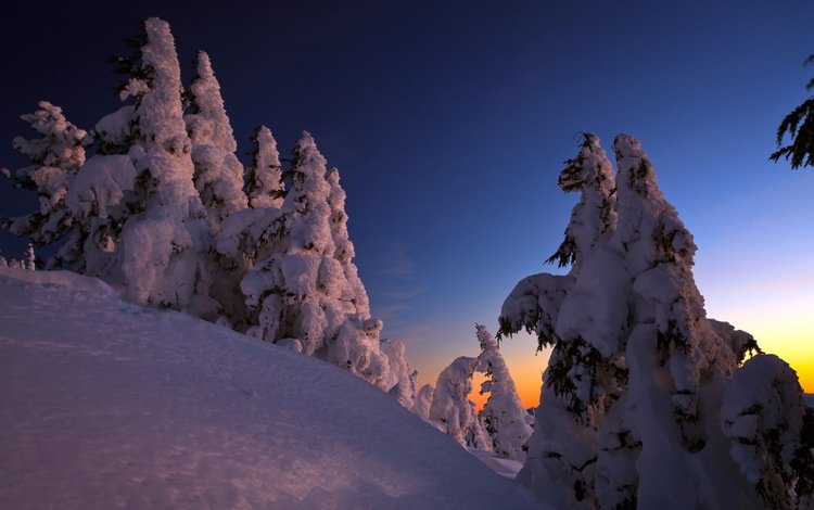 зима, winter