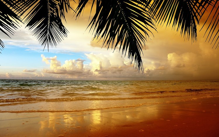 закат, пляж, тропики, sunset, beach, tropics