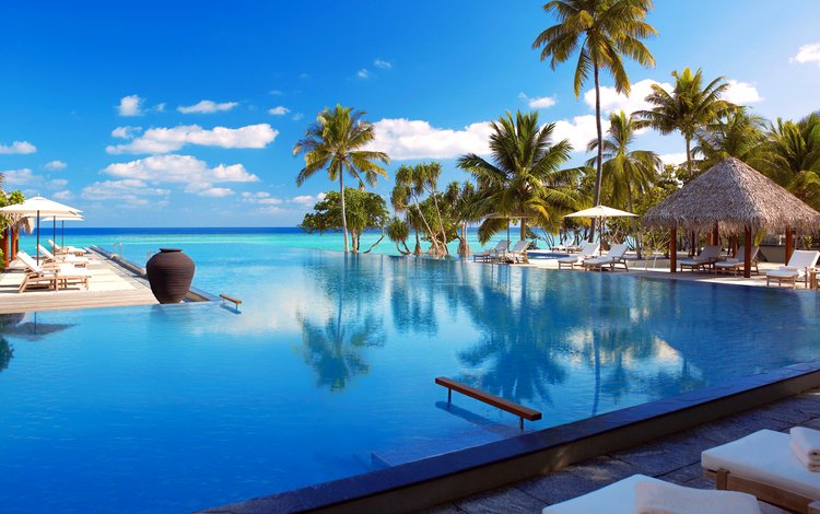 пляж, бассейн, тропики, мальдивы, beach, pool, tropics, the maldives