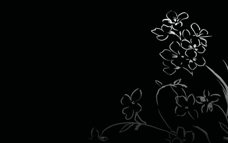 цветы, черный фон, цветочки, рисуночек, flowers, black background, reconocer