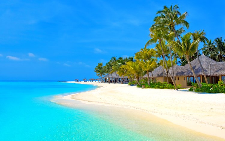 пляж, бунгало, тропики, мальдивы, beach, bungalow, tropics, the maldives