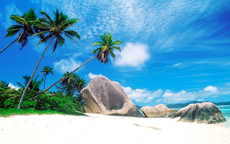 пляж, остров, тропики, сейшелы, beach, island, tropics, seychelles