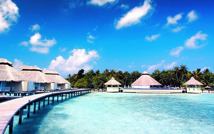 остров, тропики, мальдивы, island, tropics, the maldives