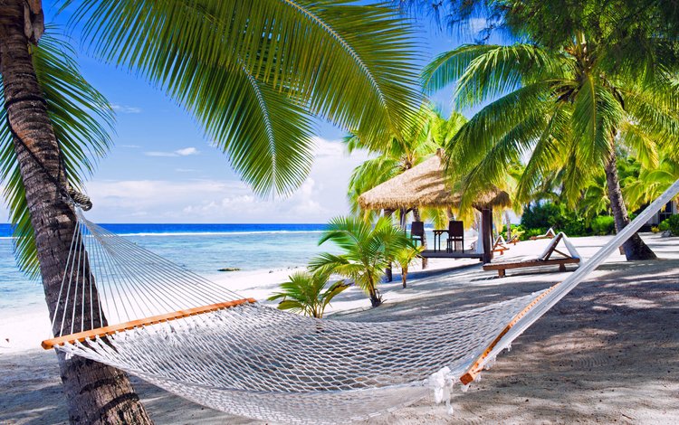пляж, гамак, тропики, мальдивы, beach, hammock, tropics, the maldives