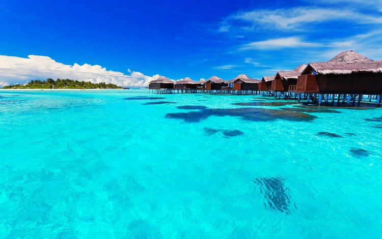 остров, бунгало, тропики, мальдивы, island, bungalow, tropics, the maldives