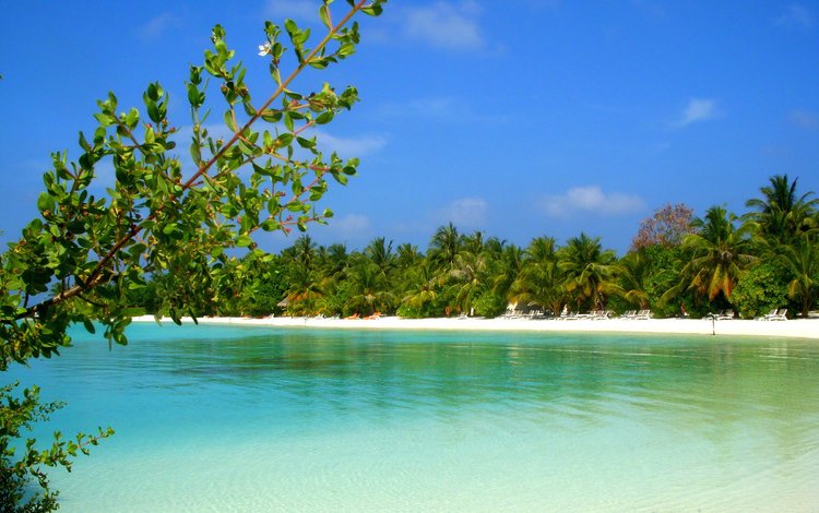 пляж, остров, тропики, мальдивы, beach, island, tropics, the maldives