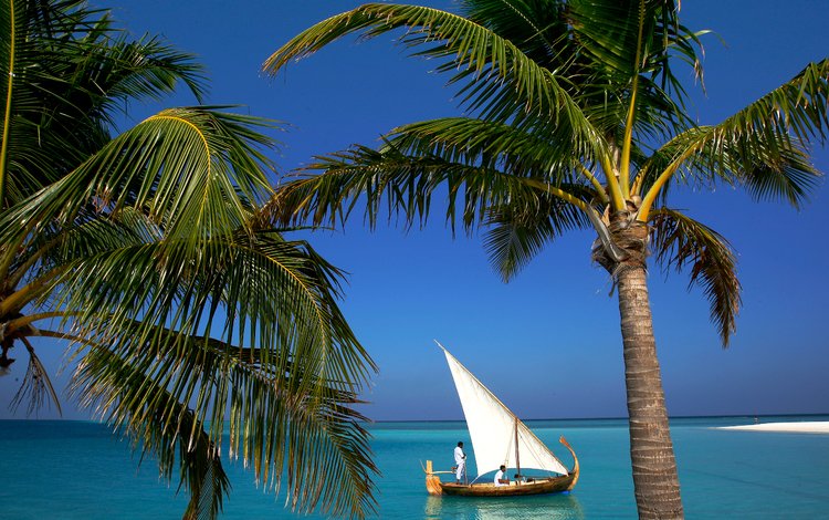 лодка, тропики, мальдивы, boat, tropics, the maldives
