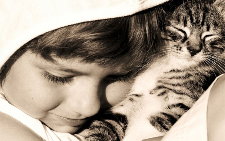 кот, кошка, котенок, дети, девочка, ребенок, объятия, devochka, obyatiya, ккотенок, kotenok, cat, kitty, children, girl, child, hugs