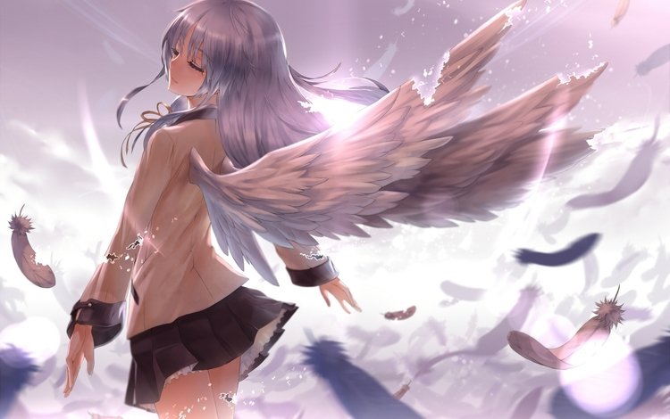 девушка, аниме, ангел, крылышки, svet, krylya, perya, anime girls, angel beats!, tachibana kanade, girl, anime, angel, wings