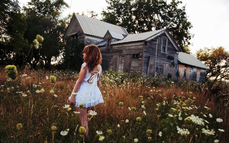 цветы, девушка, поле, дом, голубое платье, flowers, girl, field, house, blue dress