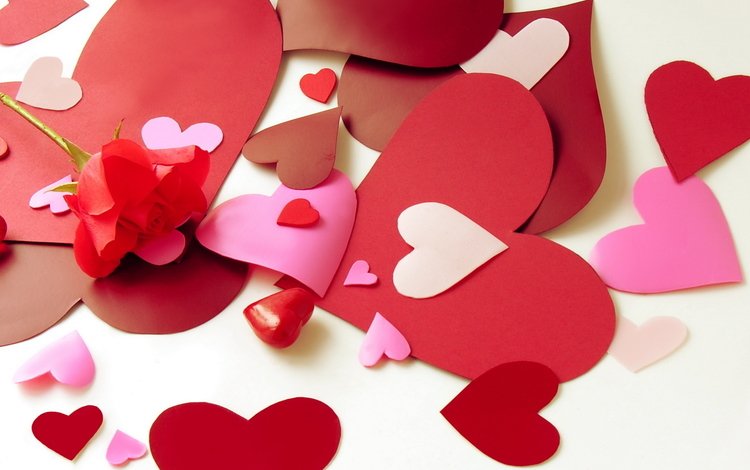 lyubov, настроение, nastroeniya, serdechki, цветок, bumazhnye, buma, роза, валентинки, бумага, сердце, любовь, сердечки, бумажные, serdce, mood, flower, rose, valentines, paper, heart, love, hearts