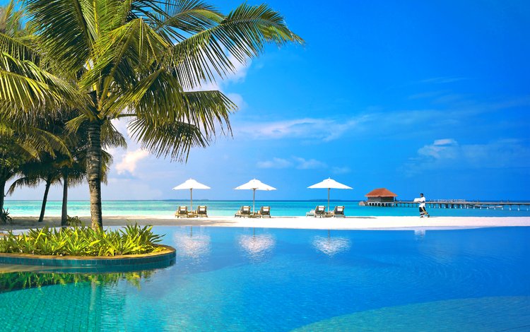 море, курорт, тропики, мальдивы, sea, resort, tropics, the maldives