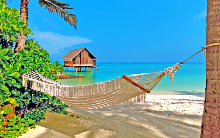 море, пляж, гамак, тропики, sea, beach, hammock, tropics