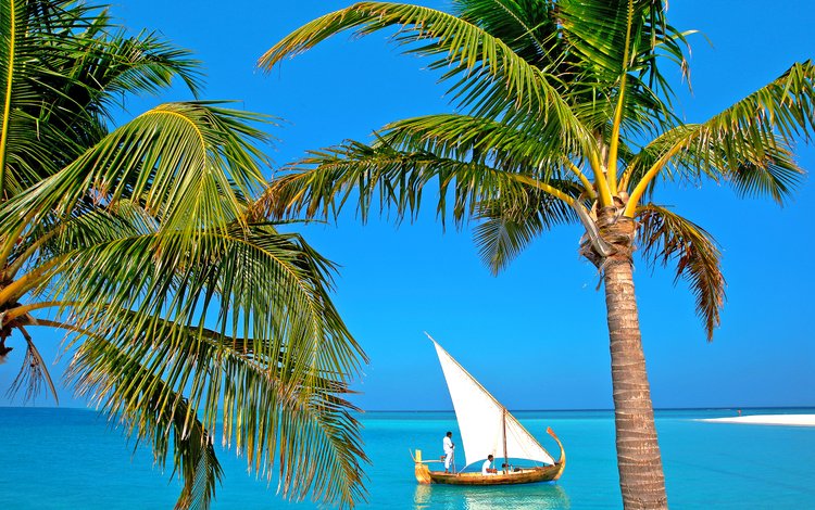 море, яхта, тропики, мальдивы, sea, yacht, tropics, the maldives