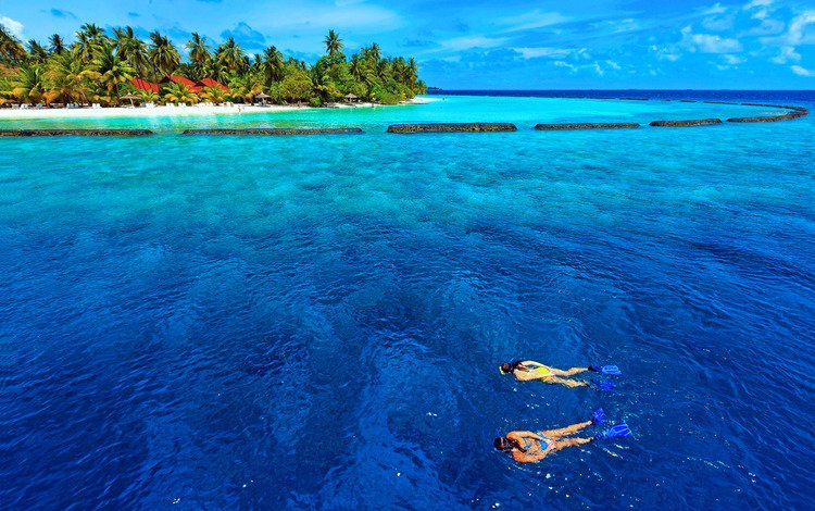 море, остров, тропики, мальдивы, дайвинг, sea, island, tropics, the maldives, diving