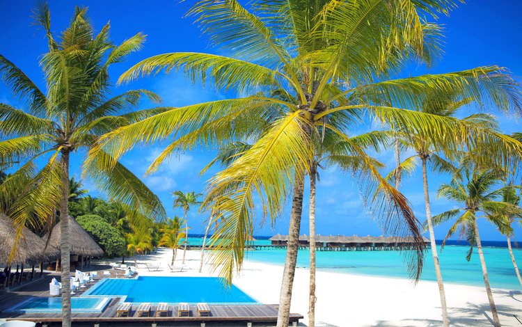 море, пляж, курорт, тропики, мальдивы, sea, beach, resort, tropics, the maldives
