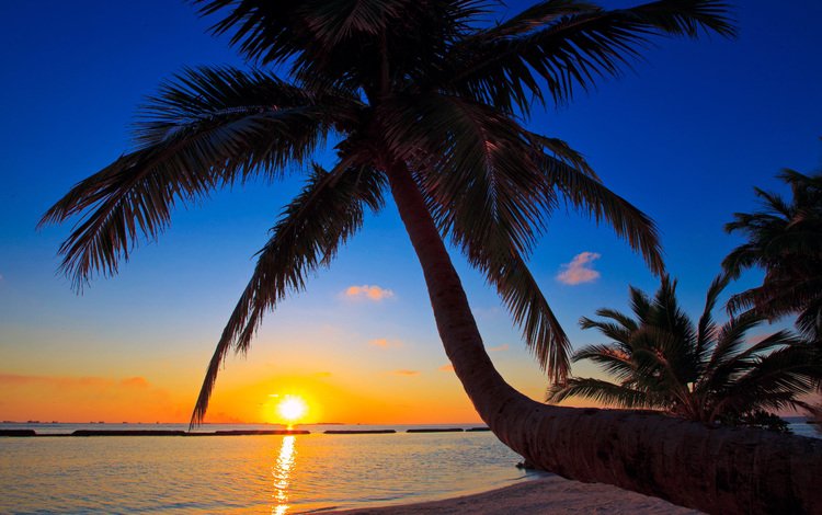 закат, море, пляж, тропики, мальдивы, sunset, sea, beach, tropics, the maldives