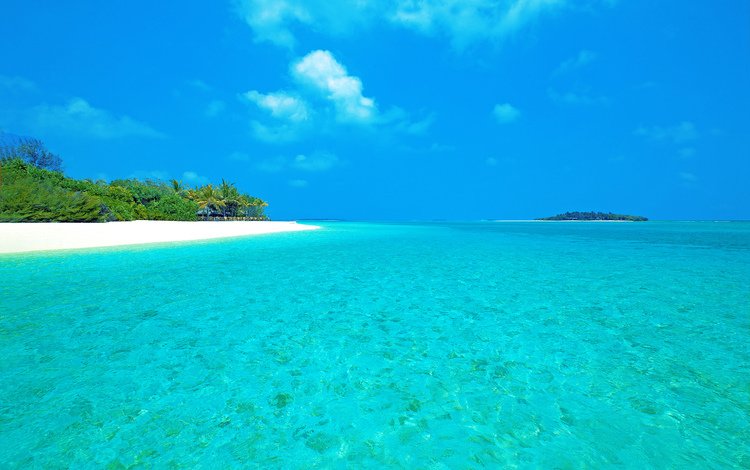 пляж, остров, тропики, мальдивы, beach, island, tropics, the maldives