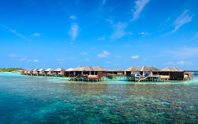 море, бунгало, тропики, мальдивы, sea, bungalow, tropics, the maldives