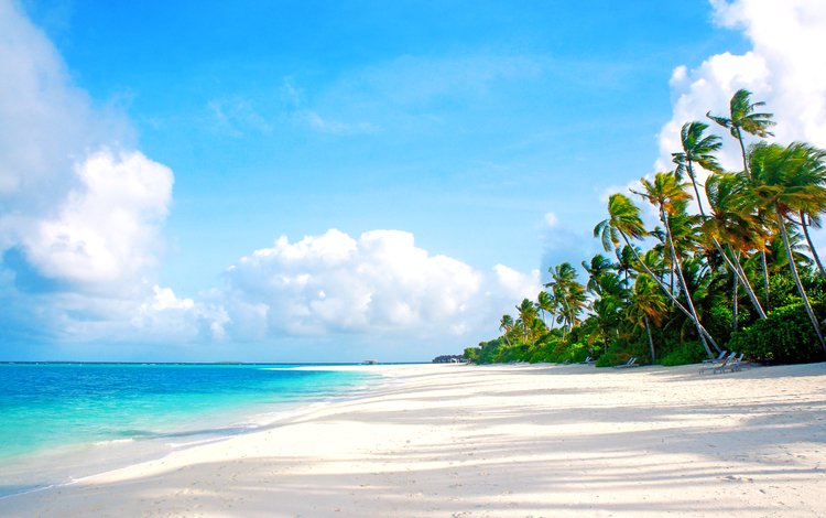 море, пляж, тропики, мальдивы, sea, beach, tropics, the maldives