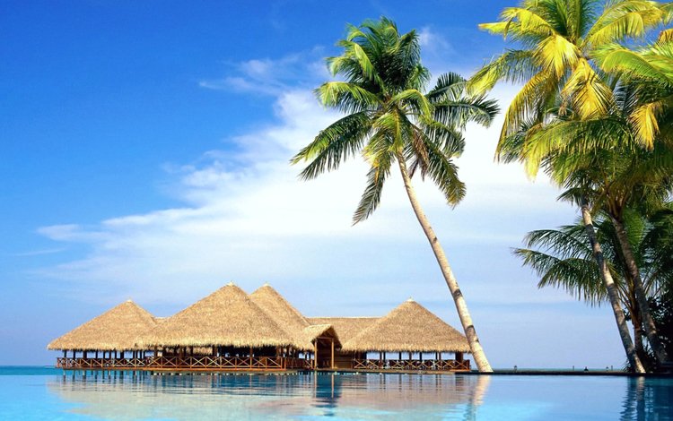 море, пальмы, отдых, бунгало, тропики, sea, palm trees, stay, bungalow, tropics